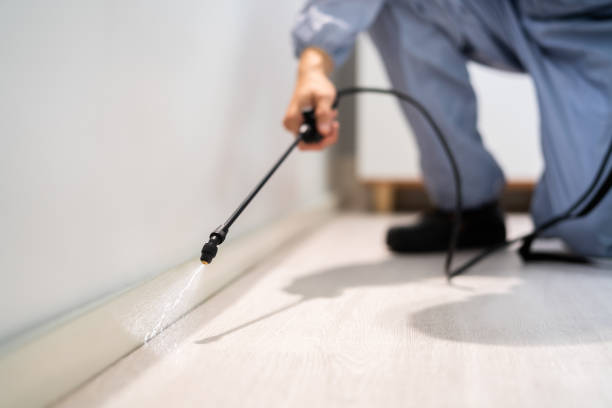 Licensed Wasp Removal service in Fairmount, TN - Show Me Pest Control