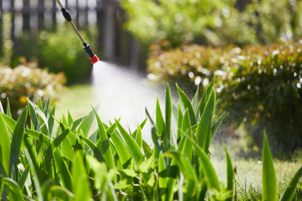 24/7 Emergency Wasp Removal experts in Fairmount, TN