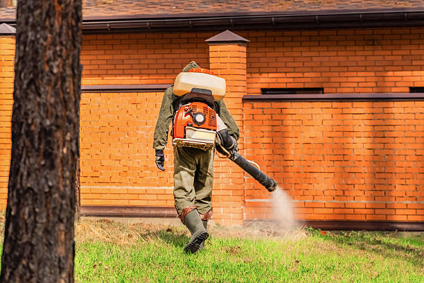 Top rated local Wasp Removal specialists in Fairmount, TN